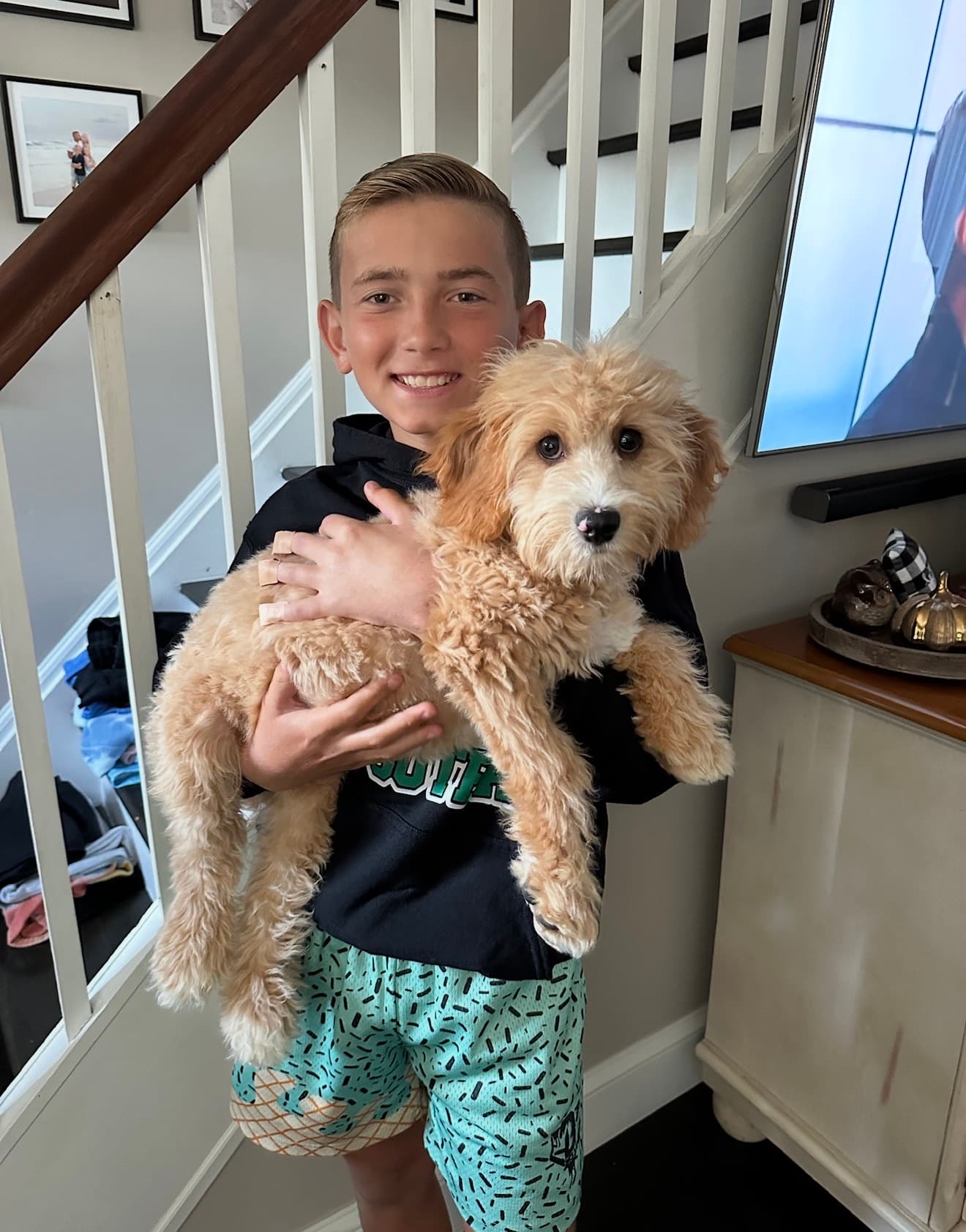 A boy holding his Goldendoodle puppy